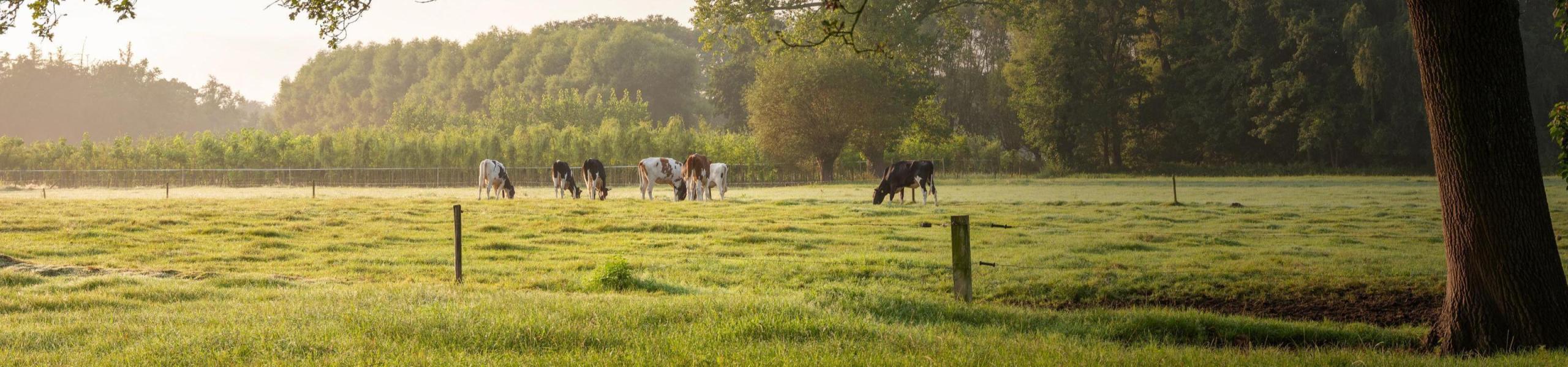 Wandel & fietsroutes
